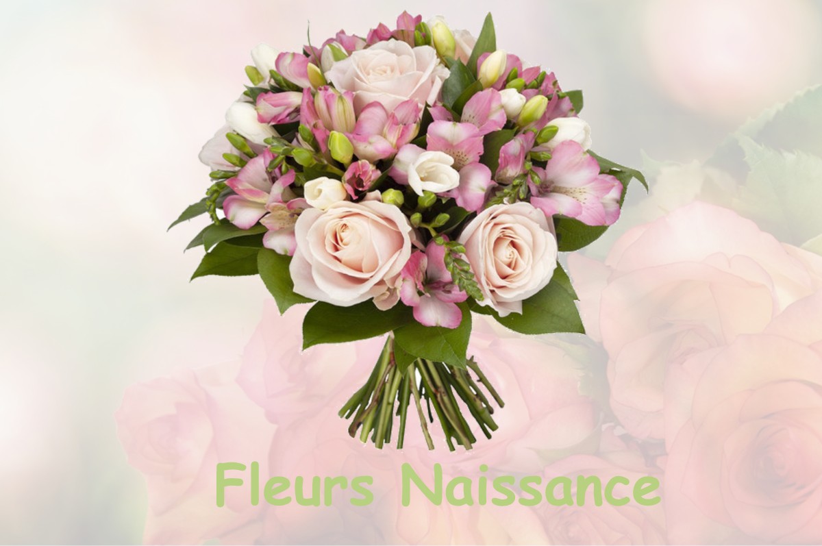 fleurs naissance DOMBLANS