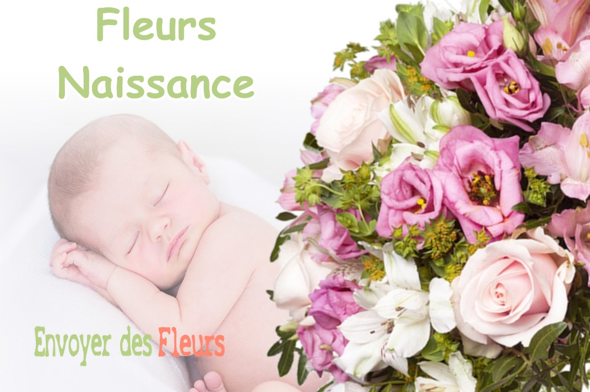 lIVRAISON FLEURS NAISSANCE à DOMBLANS