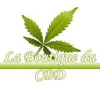 LA BOUTIQUE DU CBD DOMBLANS 